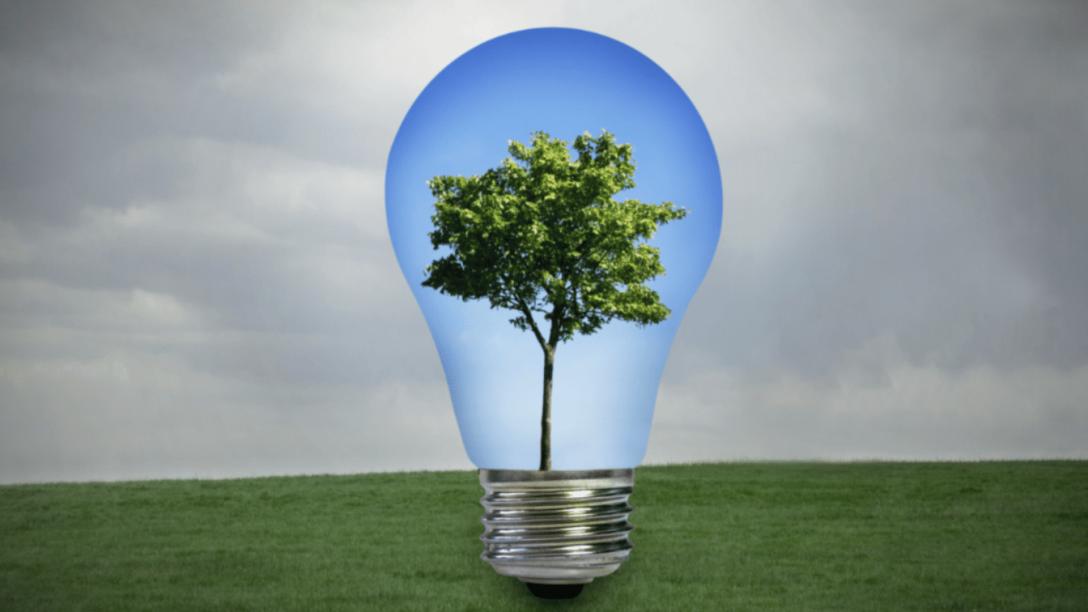 An Environmental Due Diligence Checklist for Your Real Estate Investments